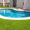 cỏ bể bơi